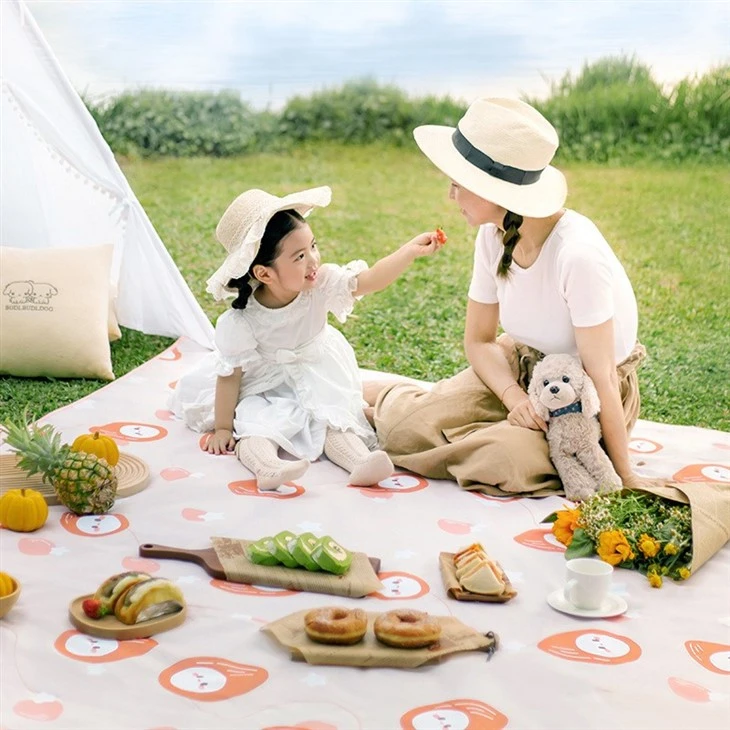 waterproof picnic blanket