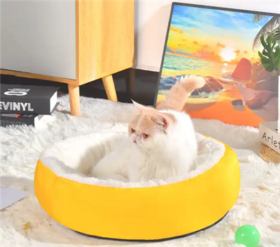 Kabann bèt kay pou chen